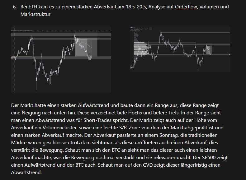 Beispielhafter Detail-Eintrag aus einem Trading-Journal: ausführliche Markt- und Setup-Analyse mit zwei Chart-Perspektiven, Beobachtungen zu Range, Volumen-Cluster, S/R-Zone sowie Korrelationen zu BTC, SP500 und CVD